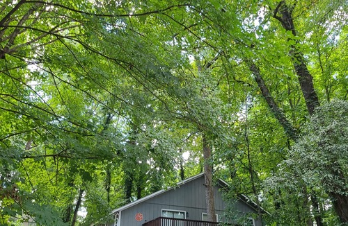 Clemson House | Stylish Clemson House 1 mile from stadium-The Hill @ Stoney Creek, pets ok