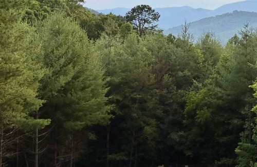 Franklin House | Sunset view, dog friendly, romantic getaway.