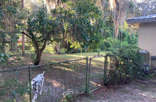 Gainesville House | Sweet 3/2 Newnans Lake Home in Gainesville, FL.