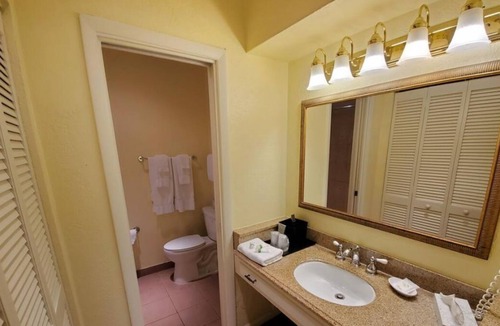 Crystal River House | Swim with Amazing Manatees! Relaxing Room, Fantastic View, Outdoor Pool