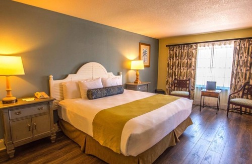 Crystal River House | Swim with Amazing Manatees! Relaxing Room, Fantastic View, Outdoor Pool