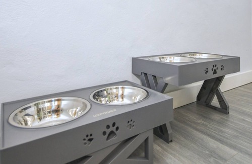 St. Petersburg House | The Doghouse Inn ~ MUST Love Dogs! ~ Central St. Pete - Backyard Sanctuary