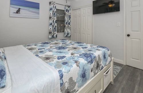 St. Petersburg House | The Doghouse Inn ~ MUST Love Dogs! ~ Central St. Pete - Backyard Sanctuary