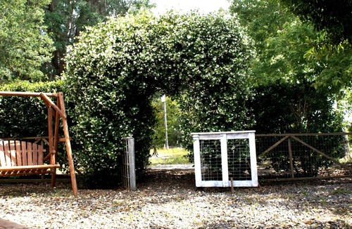 Brooksville Cottage | The Shebeen A small Irish cottage,come experience the enchantment and trnquility