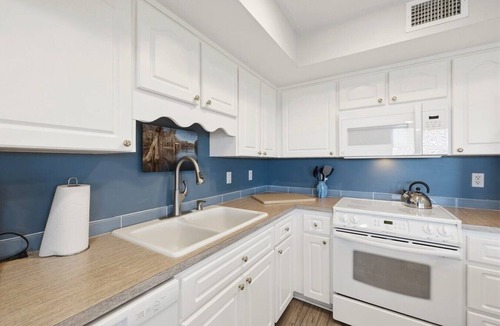 Cedar Key Condo | The Skimmer Condo: Downtown on the Bay - Nature Views - Bird watching