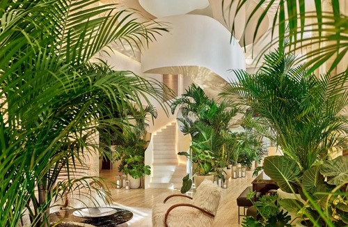 Downtown Tampa Hotel | The Tampa EDITION