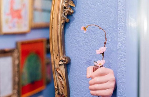 Historic Uptown Apartment | The Twisted Tulip-a curious stay
