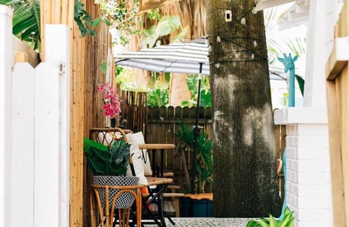 Historic Uptown Apartment | The Twisted Tulip-a curious stay