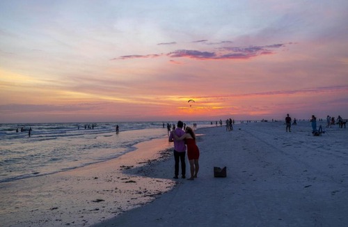 Siesta Key Village Apartment | The Village Breeze II - White-sand, Pool, Beaches, Daiquiris, Seafood!