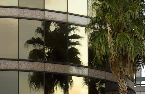 Beach Park Hotel | The Westshore Grand, A Tribute Portfolio Hotel, Tampa