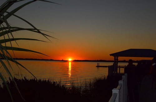 Mount Dora House | TREASURE ON TREMAIN – Charming 3BR/2BA home, Short Walk to Everything!