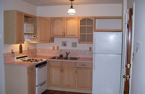 St. Petersburg Apartment | Treehouse 1BR Apt. Near Downtown, Monthly Only