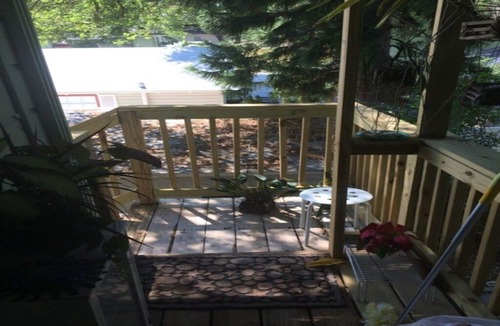 St. Petersburg Apartment | Treehouse 1BR Apt. Near Downtown, Monthly Only