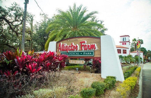 St. Augustine Beach House | Unit 5121 - Ocean Racquet Resort
