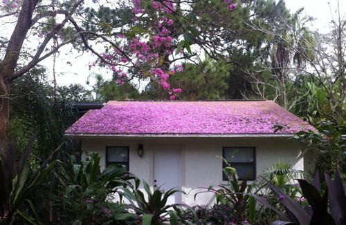 Palm River-Clair Mel Cottage | Urban Oasis: Secluded Cottage w/ Lush Botanical Gardens