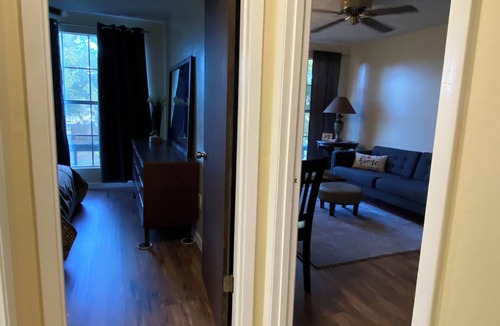 New Port Richey Apartment | Walk to the Fun! Stunning, Brand-New Interior Steps from NPR Nightlife