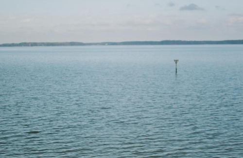Dutton House | Waterfront Cottage Getaway Views, Kayaks, Fire Pit