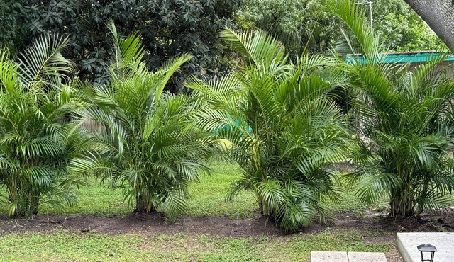 3-bedroom house in wonderful Safety Harbor with AC, WiFi