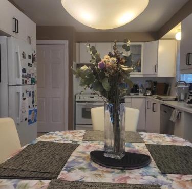 308 Delancey in Hamilton