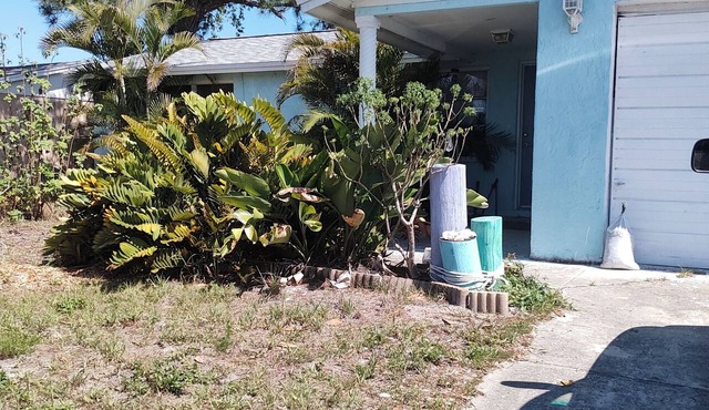A Clean, Well-lighted Place: Tropical Holiday Haven~Where Groove Gets Got Again