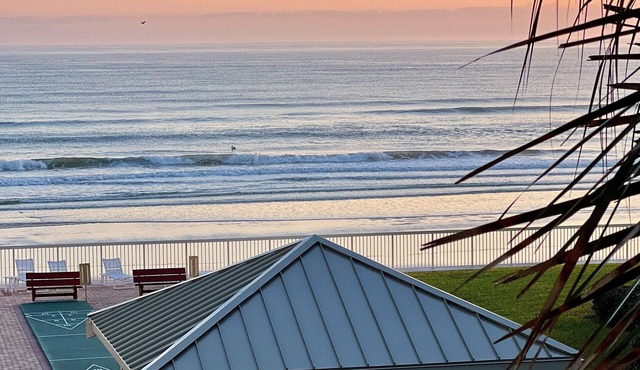 Castle Reef New Smyrna Beach Ocean View -Discount for return guests!