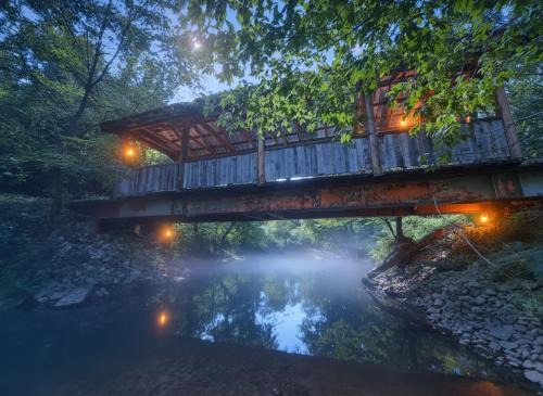 Covered Bridge Tiny Home Bus on the water in RRG