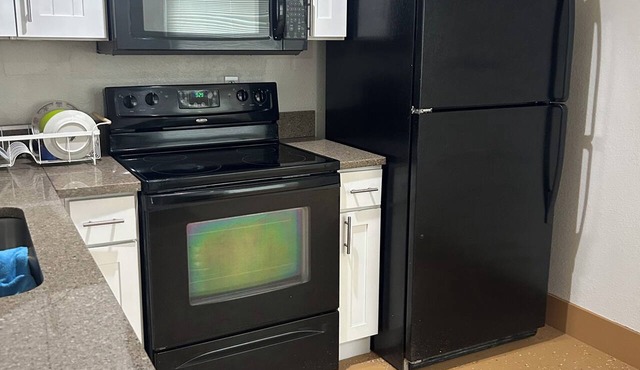 Cozy 1-bedroom apartment in adorable Tampa with AC
