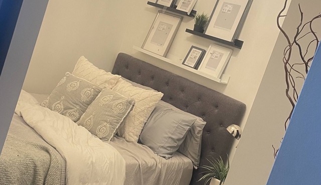 Downtown Condo -Bathurst and Lakeshore