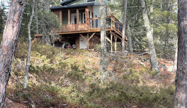 Extremely private remote get away, nestled in the pine trees on pristine lake