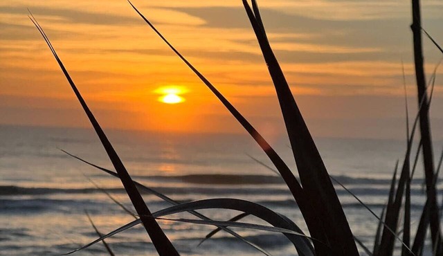 Flagler Beach Island Time Condo unit 3