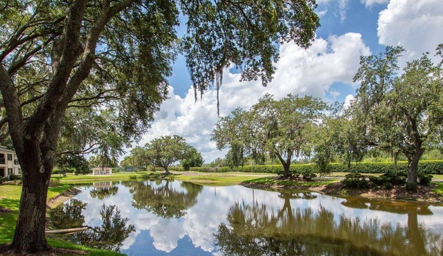 Ground Floor Lakeview Condo | 2 Queen Beds | Optional Saddlebrook Resort Amenities