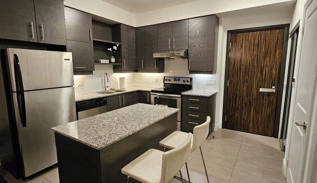 Modern Chic Condo