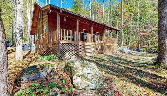 Mountain retreat with breathtaking views, dog friendly