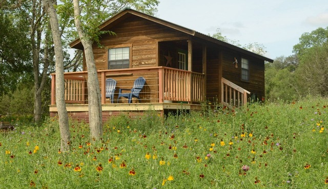 On Twisted Sisters Loop, New Tiny Cabin w/Deck & River Frontage, Pet Friendly!