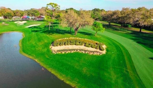 Relax and Unwind at Innisbrook-Spacious 1 Bedroom Condo with Scenic Course Views