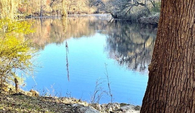 Riverview , Beautiful house on the Santa Fe river!