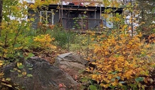 Rustic Bunky on Picturesque Lake