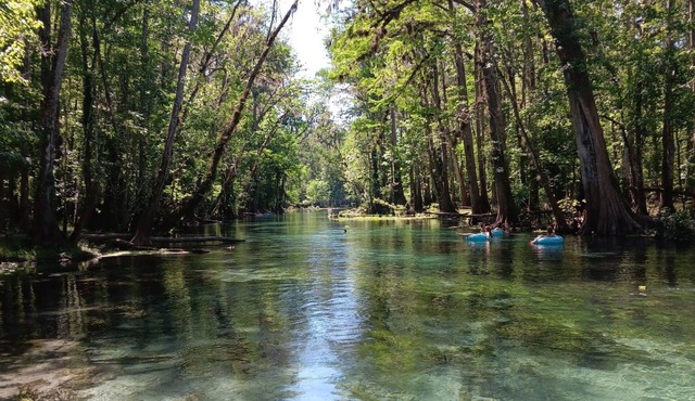 RV stay private land The Angler's Hideout Close to springs, parks, & Daytona