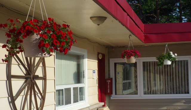 Silver Birch Motel