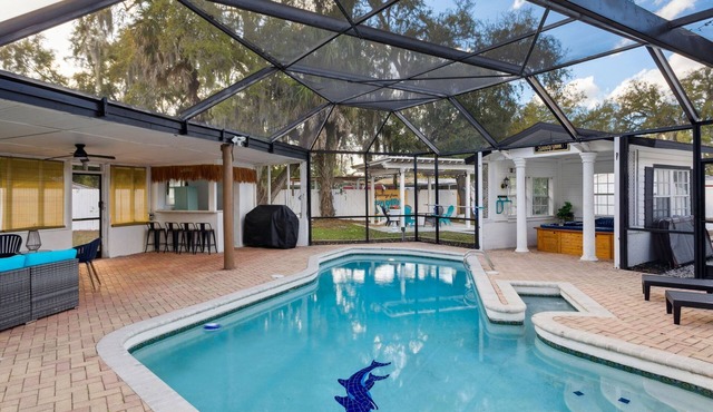 Sunny Terrace Pool Hot Tub B-Ball CT Near Busch Gardens & USF Sleeps 10