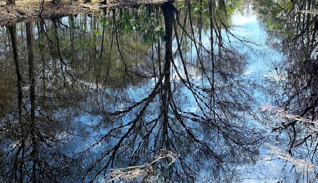 The Oaks at Withlacoochee Cottage Riverfront - NO Mgt fees!