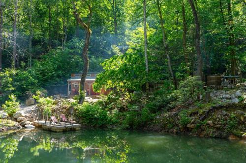 Tiny Fox Pond side Retreat with Forest Views