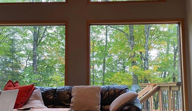 Unique feature cottage, forest, trail, lake & more.
