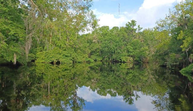 Waterfront open floor plan cottage on the scenic Aucilla River.