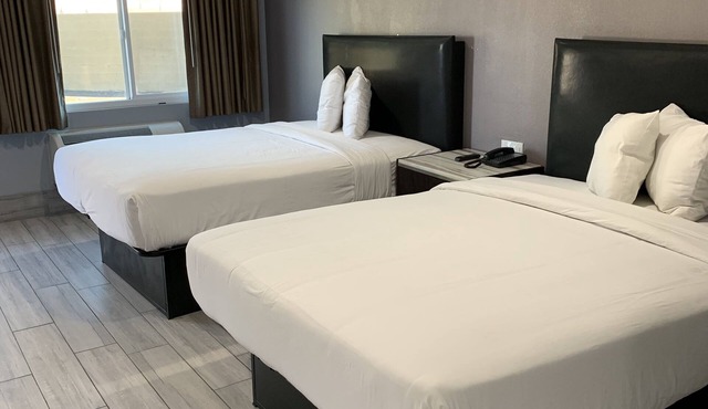 Willow Tree Inn & Suites