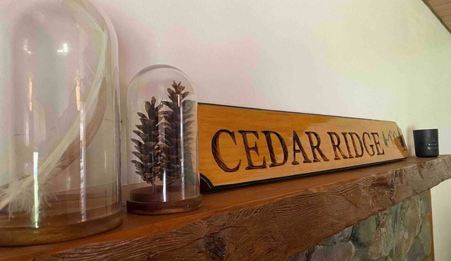 Windham/Hunter Modern Mountain Cabin on 22 acres
