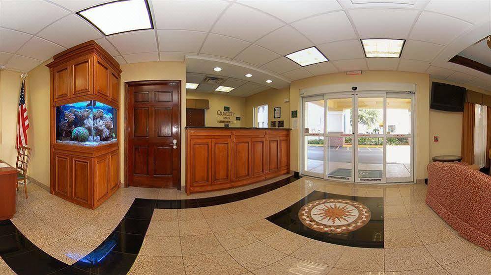 Photo of Livingroom in Golfview