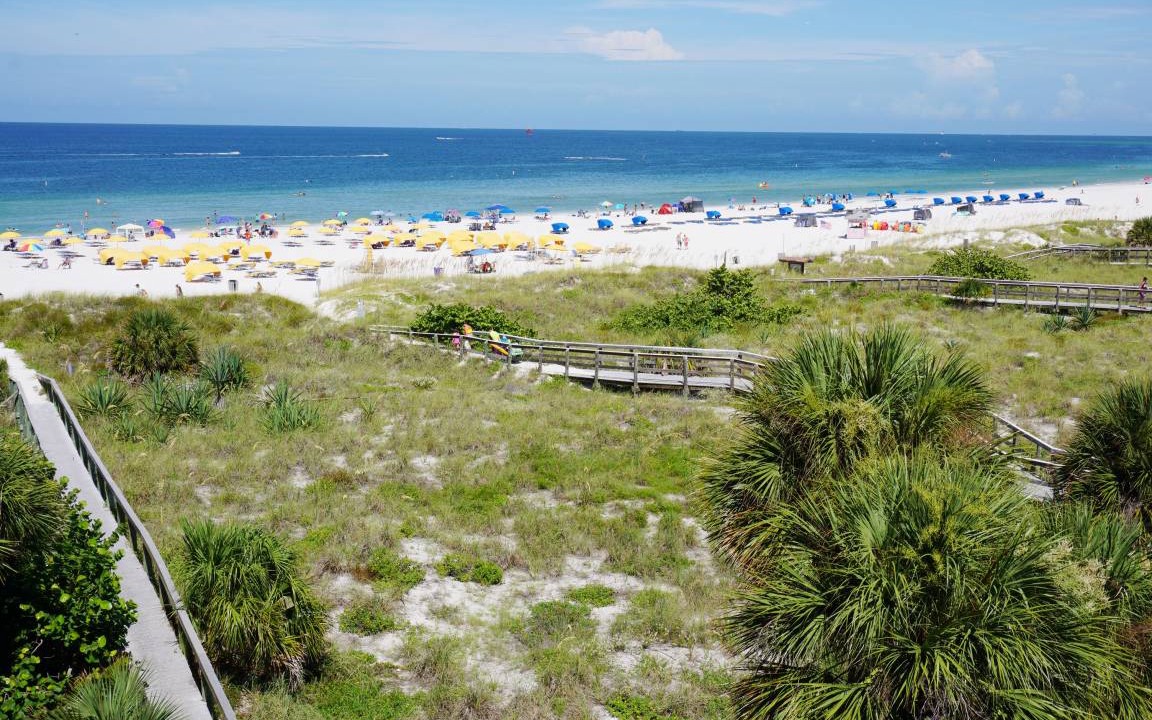 Photo of Others in St. Pete Beach