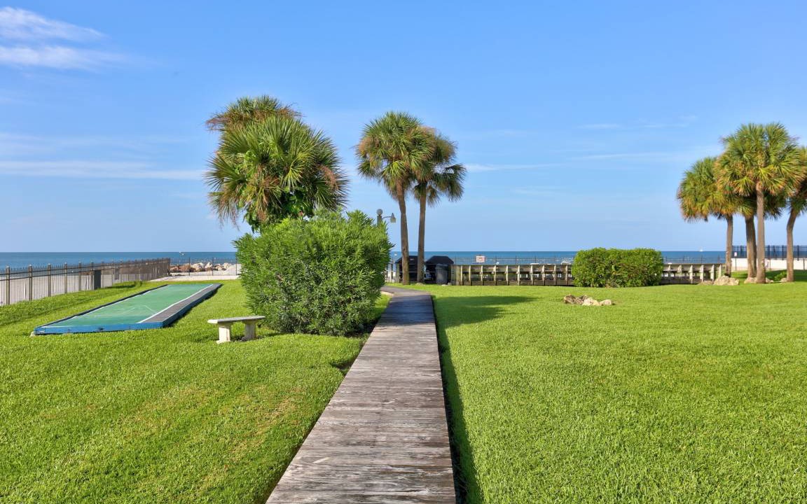 Photo of Others in St. Petersburg - Clearwater