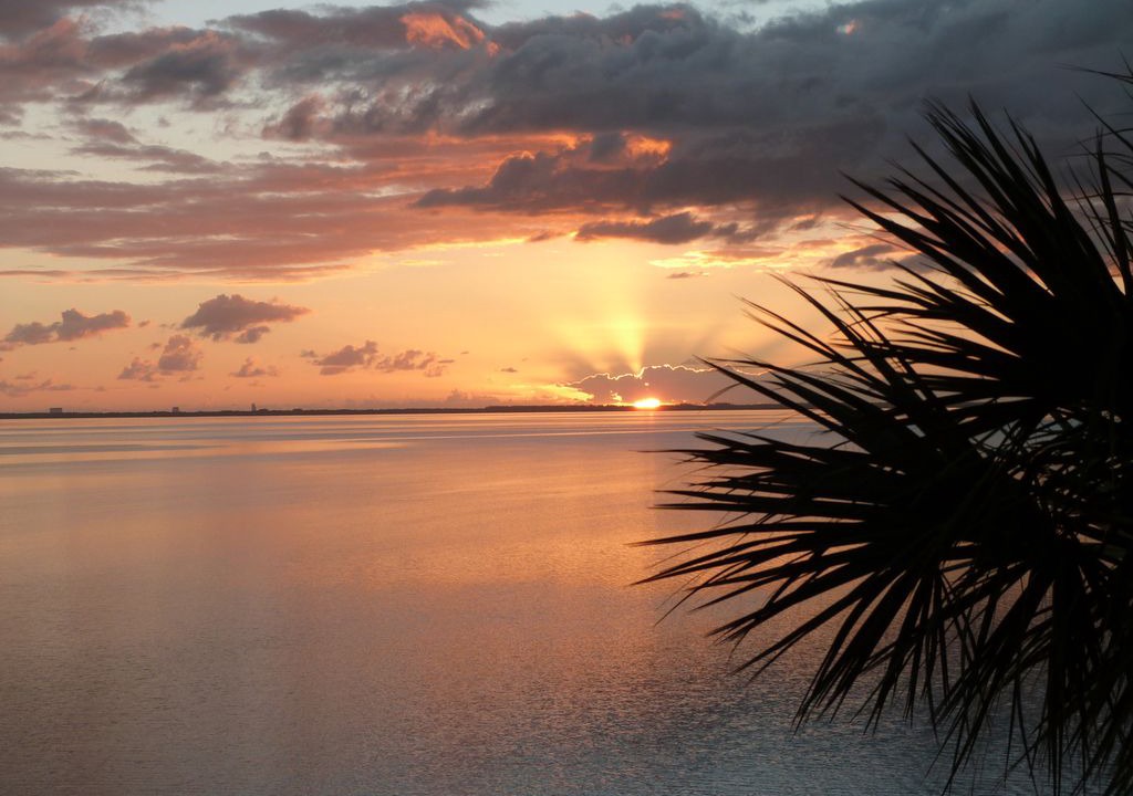 Photo of Outdoor in Titusville